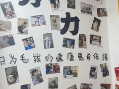 -宠福鑫动物医院(城北分院)