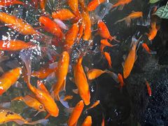 -常州海昌海洋探索馆