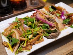-直隶安家牛肉罩饼(建华店)