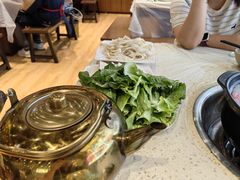 -九寨特色牦牛肉汤锅 羊肉汤锅