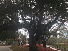 -荔枝公园-小平画像广场