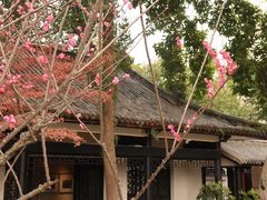 -墨池公园