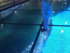 -上海长江河口科技馆