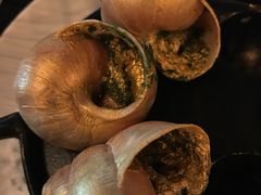 -金蜗牛