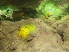 -湖南省地质博物馆