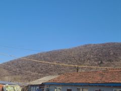 -庆岭迎宾园正宗活鱼馆