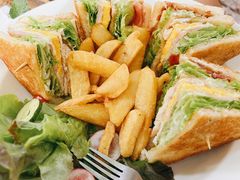 -Fern Forest Cafe