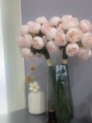 -小黑裙瑜伽·普拉提