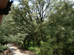 android_upload_pic-宋井风景区