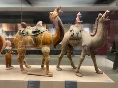 -西安大唐西市博物馆