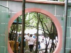 由此去喝茶打麻将-月圆霖特色农家乐