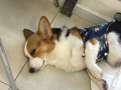 -怪兽屋·羊驼·猫咖·狗咖(俊华广场店)