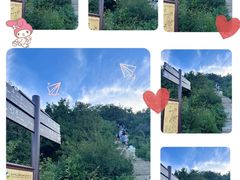 -北京西山国家森林公园