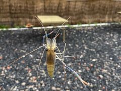 -DGE季风钓虾营地·团建·聚会
