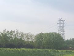 -永定河休闲森林公园