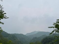 -欢乐松鼠谷