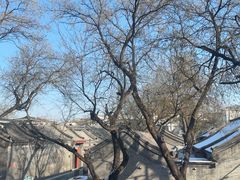 -四季民福烤鸭店(故宫店)