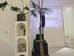 -春树下·树屋花房西餐厅(罍街AS1980店)