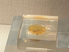 -湖南省地质博物馆