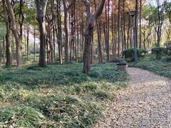 -长广溪湿地公园