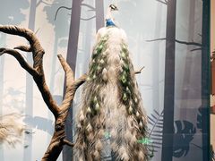 -陕西自然博物馆