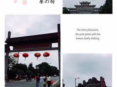 -金孔雀温泉旅游度假村