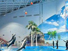 -福州罗源湾海洋世界旅游区