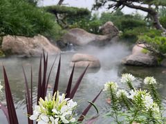 -罗红摄影艺术馆