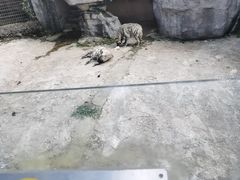 -南昌动物园
