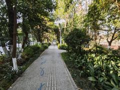 -成都市活水公园