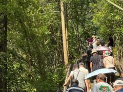-石台牯牛降景区