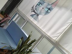 -有猫主题·治愈系猫咖(曾厝垵店)