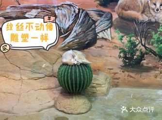 东湖魔兽城堡绝对适合去打卡！