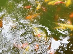 -天河潭旅游度假区
