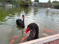 -春晖园度假酒店温泉