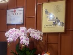 -LANN I 蘭·泰式古法按摩(高岛屋百货店)