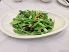 -金三杯酒家(泉城路店)