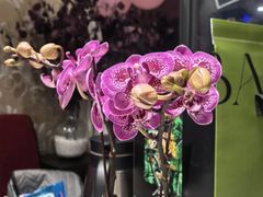 -观塘港茶餐厅(八一大道店)