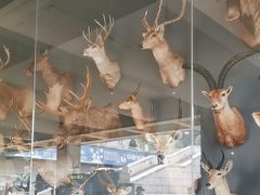 -陕西自然博物馆