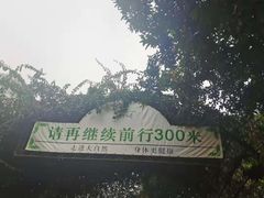 -青青世界