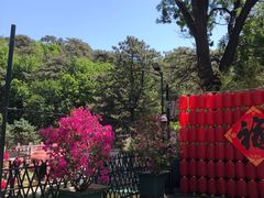 -红螺寺