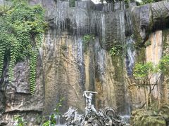 -西双版纳原始森林公园