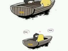 -拓恩帆船俱乐部