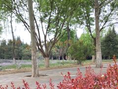 -东升八家郊野公园