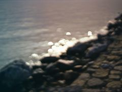 -合肥滨湖国家森林公园