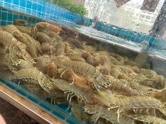 -渡海小渔村.老辈日照菜