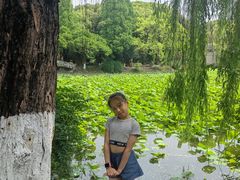 -西南交通大学(九里校区)