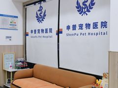 -申普宠物医院·眼科·心内科·影像科(普陀分院)
