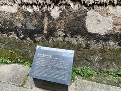 -小洲村