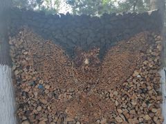 -回龙观体育文化公园